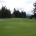 9-Hole 10 Round Punch Cards